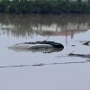 Alluvione Valencia, cos’è la Dana la ‘goccia fredda’ che ha travolto la Spagna