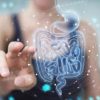 Infarto e ictus possono arrivare dall’intestino: la scoperta italiana