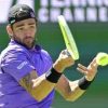 Berrettini-Bergs al Miami Open: orario, precedenti e dove vederla in tv