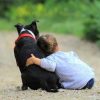 ‘Non diamo la colpa ai cani’, pediatri e veterinari per convivenza sicura con bimbi